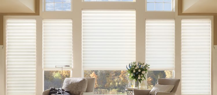 Best Shades for Windows that face any direction