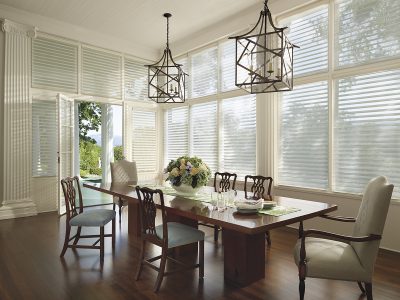 french door shades silhouette